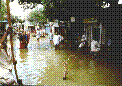 Flooded street with shops